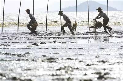 珠海人均gdp排名全国第一,珠海空气质量全国第几