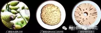 盘点星月菩提的十大问题建议收藏,星月菩提哪种可以玩得最长久