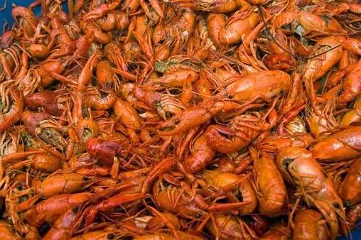 歪果仁从来不吃“麻小”？