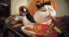 夏日消暑大作战操作,痱子大作战