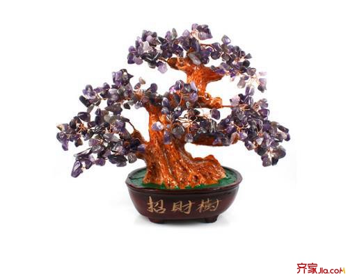 室内种什么招财最好,室内招财最好的方法