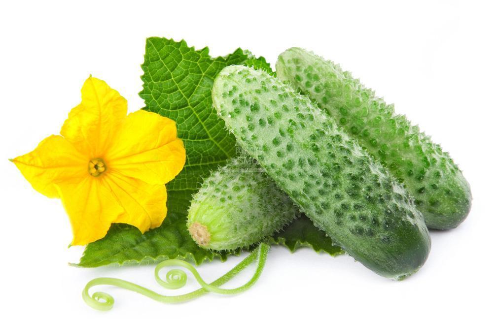 最适合宝宝吃的十大蔬菜排行,宝宝营养好吸收的蔬菜