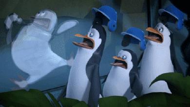 孩子多大拥有一个自己的行李箱,给宝宝一个专属她的行李箱