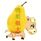 关注“五招鲜”专治兵哥哥的“鸭梨山大”症