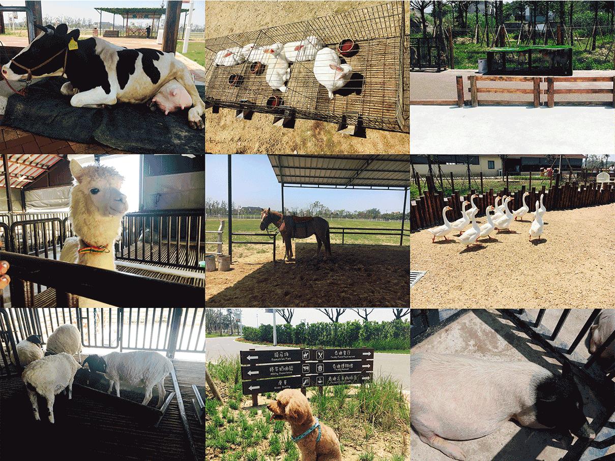 五一带孩子玩的苏州游乐场,苏州儿童可以玩的游乐项目