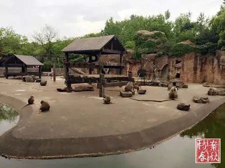 上海西郊公园90年代,以前上海西郊公园在哪里