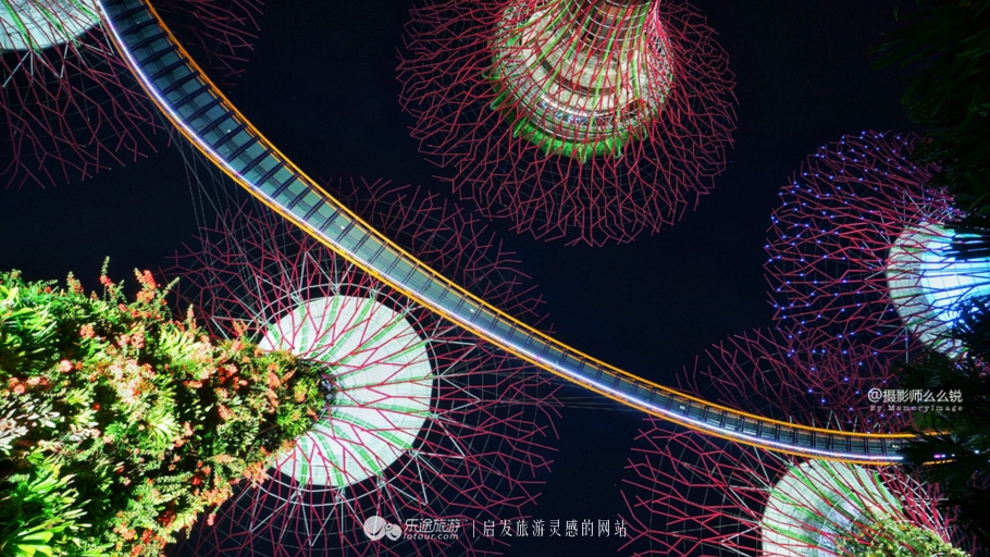 点亮圣诞树风景视频,点亮梧桐树视频