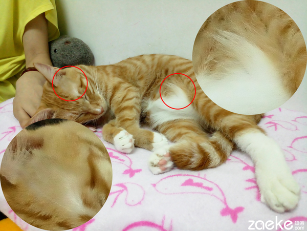 魅族mx6评测,魅族mx6手机深度评测