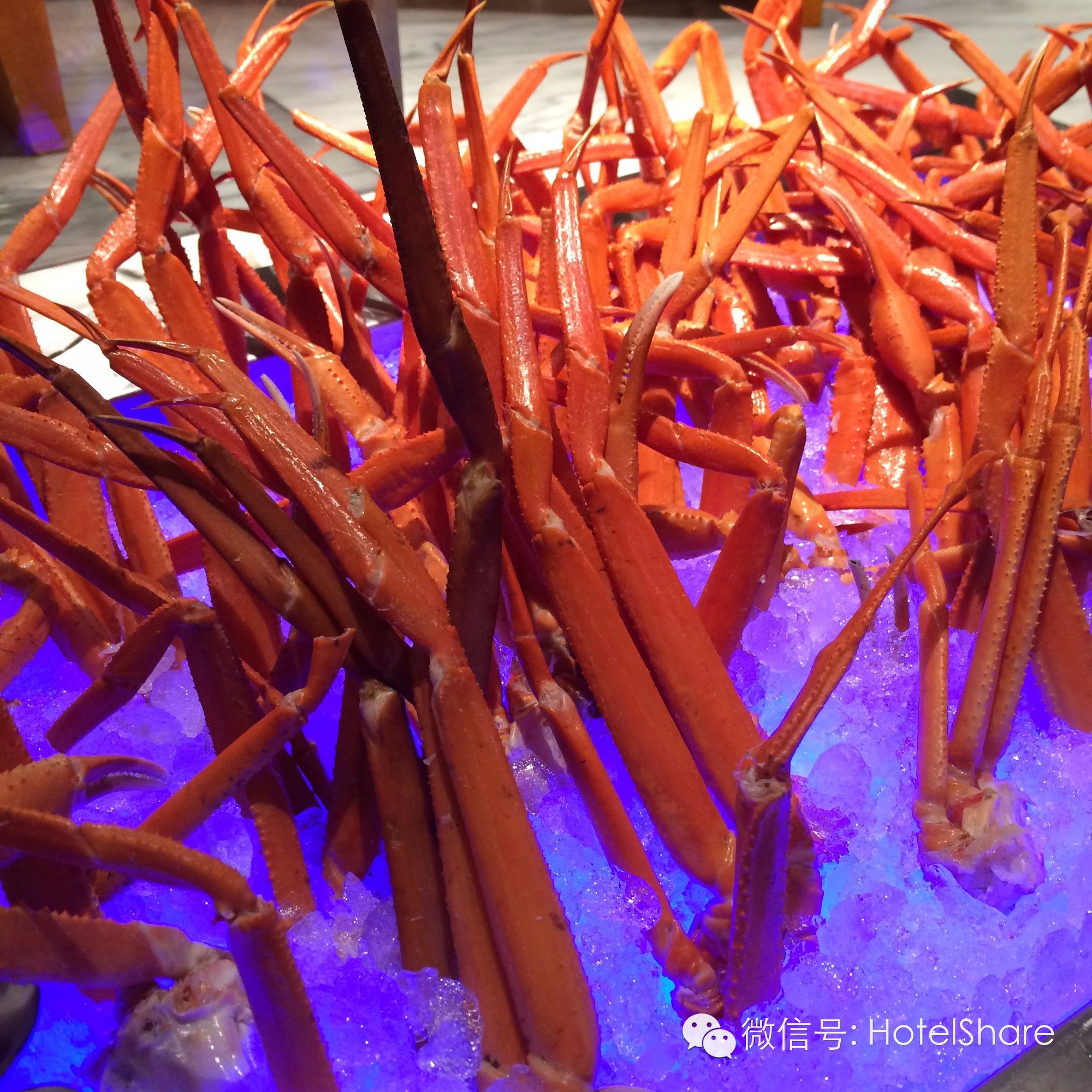 哈尔滨十大最火的酒店,哈尔滨最贵的酒店真实感受