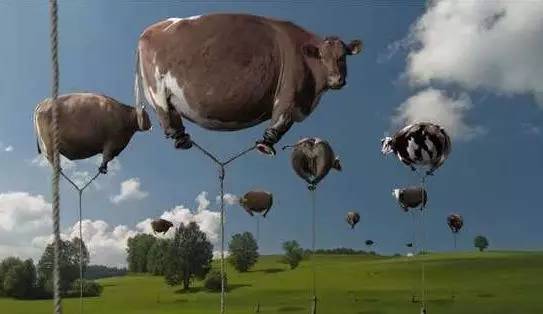 除了飞机还有什么飞行工具,除了飞行员还有什么岗位