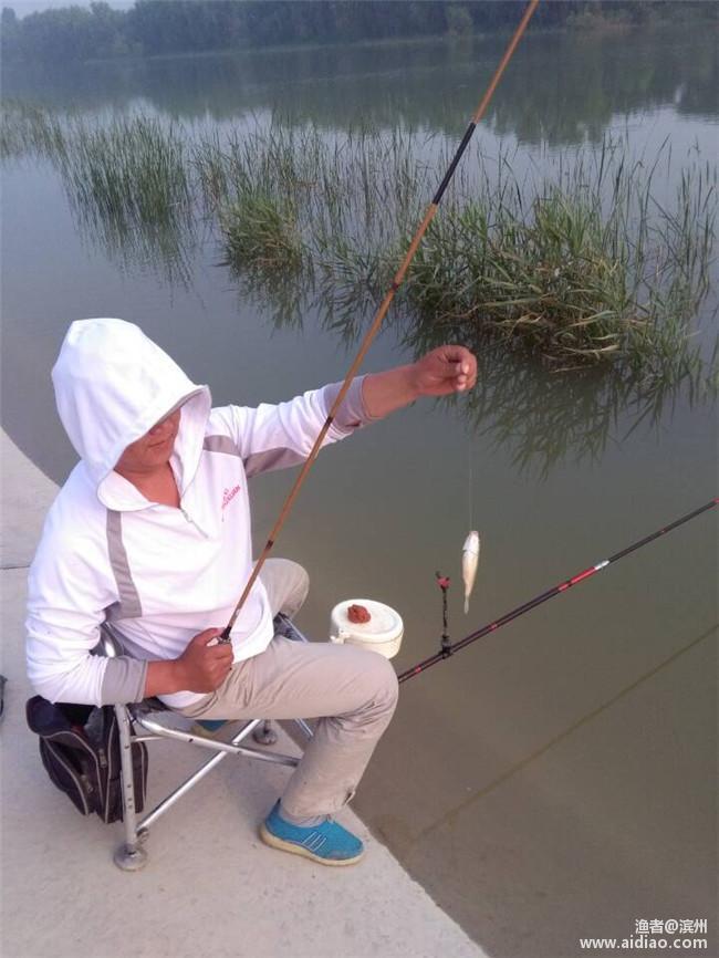 端午小长假休息安排,端午小假期安排