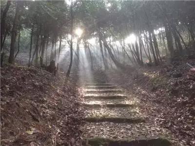 最美我家乡,最美我家乡原唱