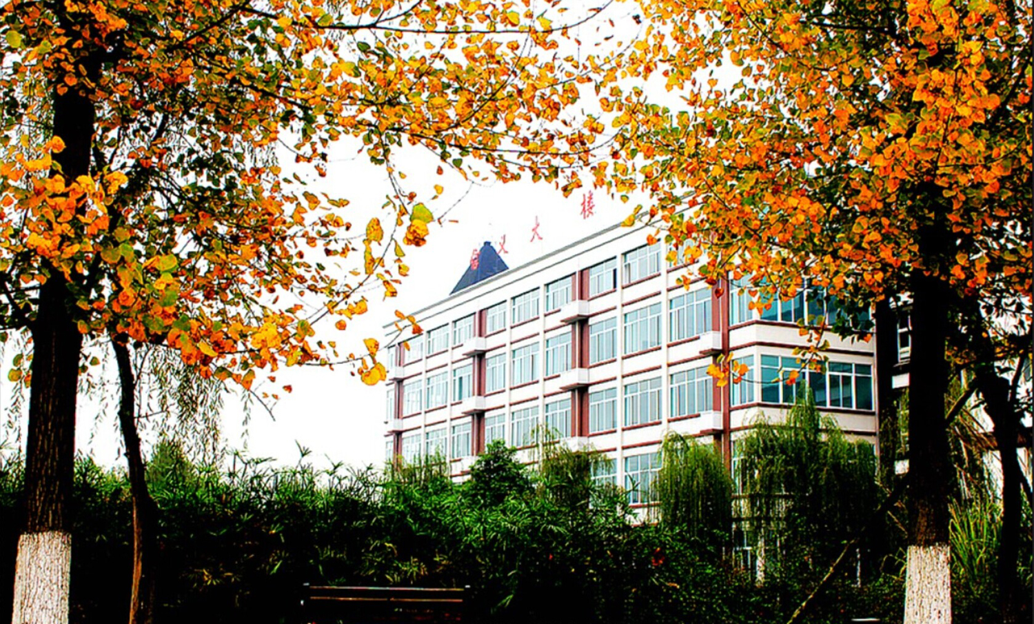 川大锦城好不好,选择四川大学的理由200字