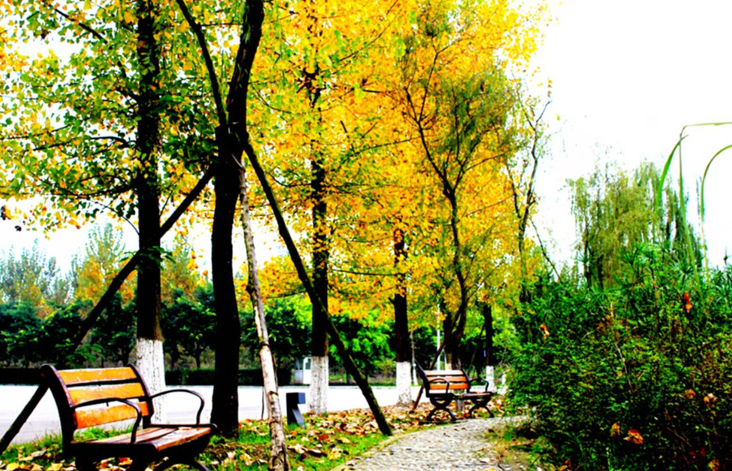 川大锦城好不好,选择四川大学的理由200字