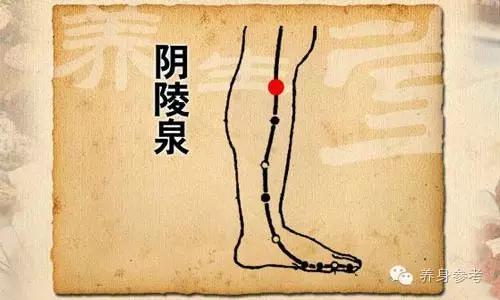 五个排湿的穴位图,十人九湿如何根治