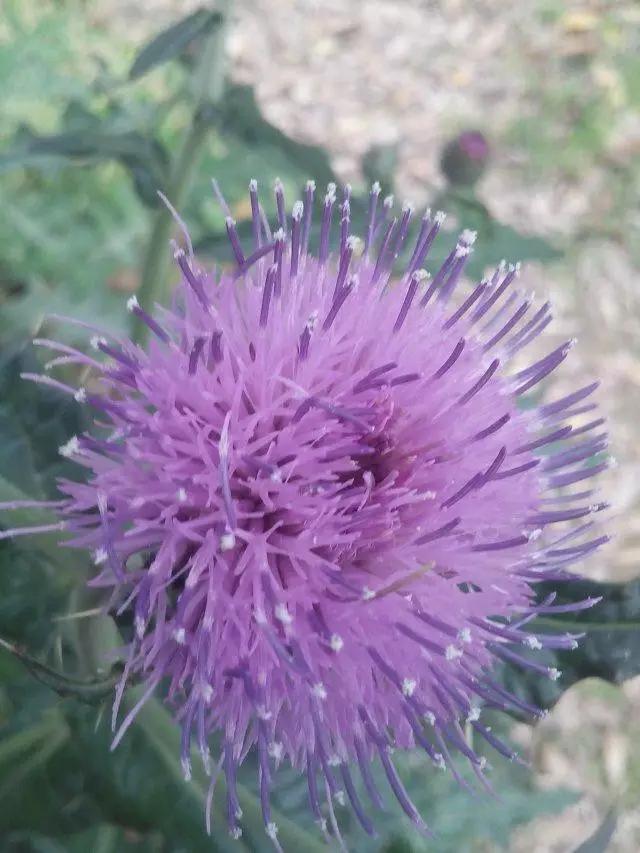 最美我家乡,最美我家乡原唱