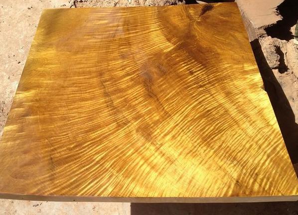 千万一根的金丝楠跌到万元一吨仍无人问津，它的内心很崩溃！