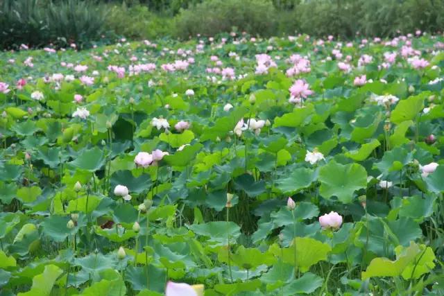 一封来自90后的辞职信,一封来自网友辞职信