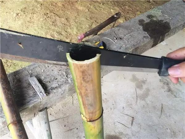 自制月季花架竹子,自制竹子蔷薇花架