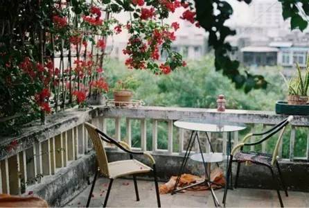 汪涵是谁,涵字取名的寓意