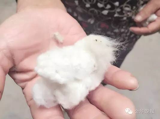 这门老手艺，也许我们以后就看不到了