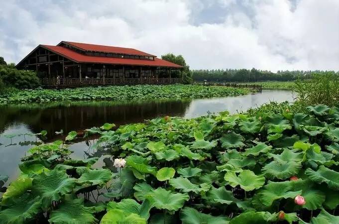 园林卡和惠民休闲年卡,苏州园林卡和休闲卡价格