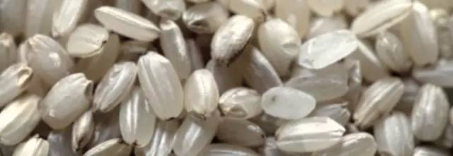 米课｜我打赌，你肯定不会吃米