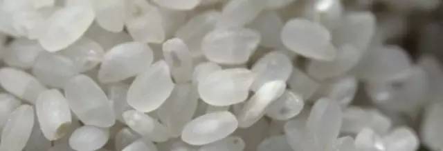 米课｜我打赌，你肯定不会吃米