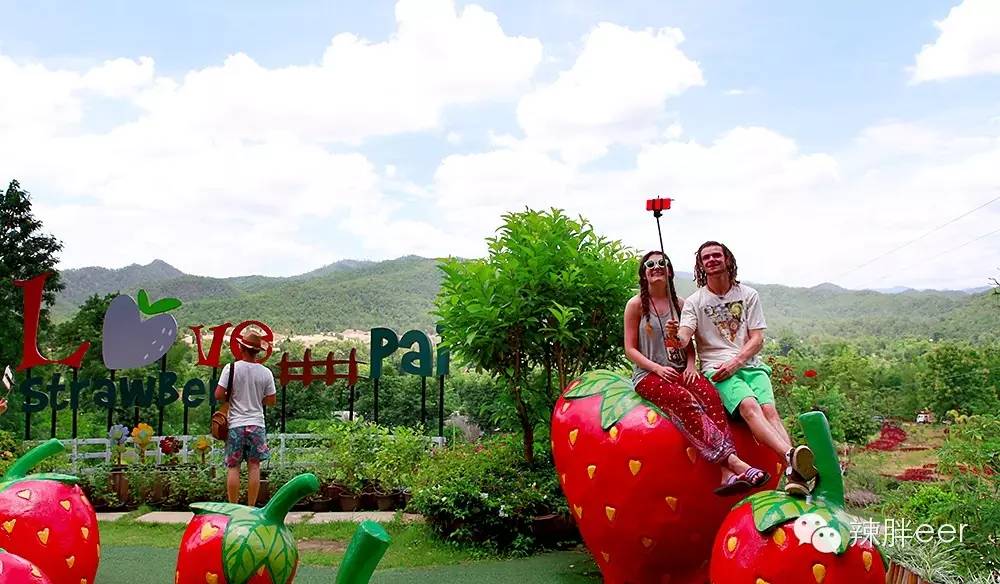 冬天旅行去温暖的地方,冬天旅行最好的时光