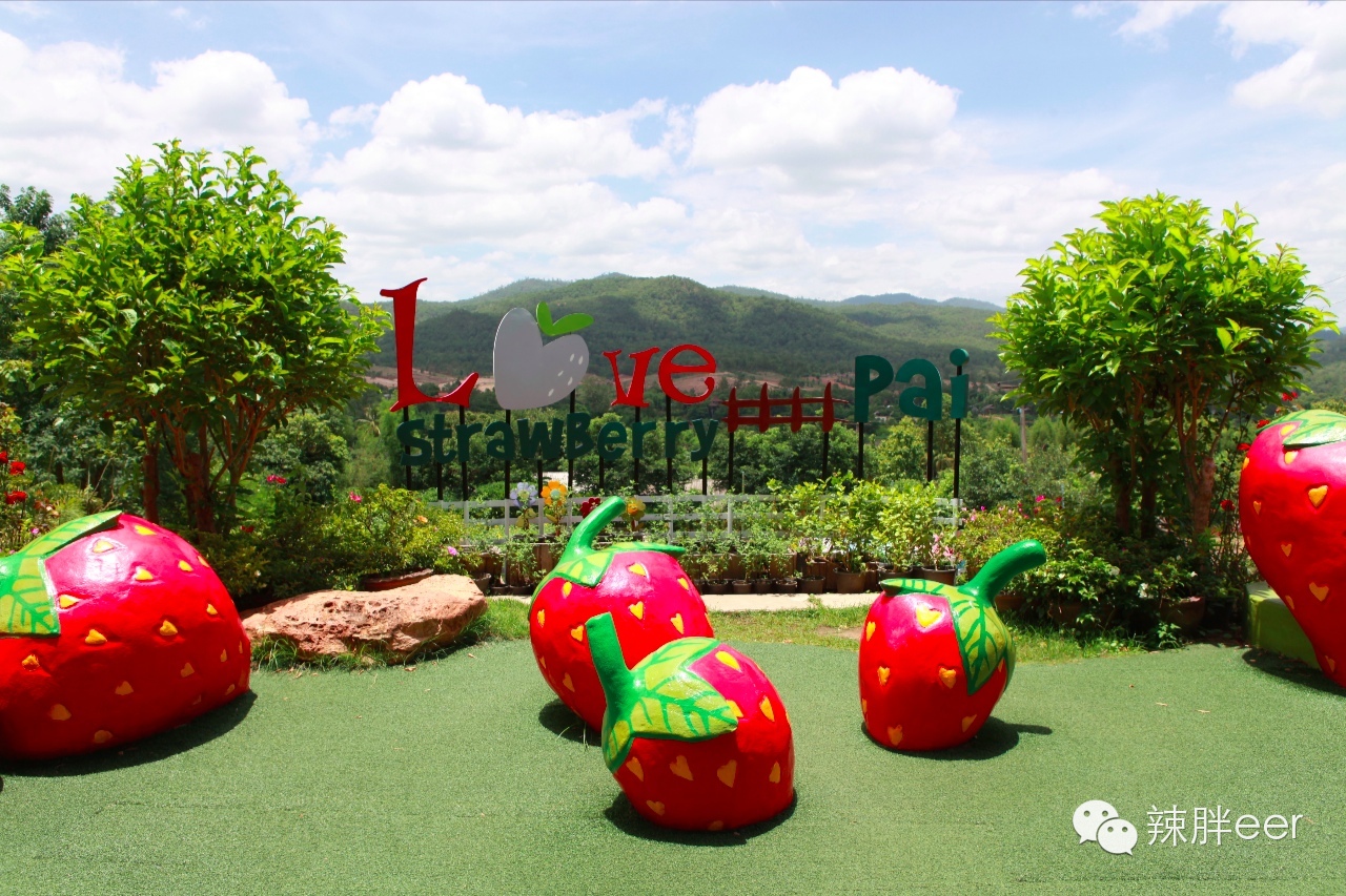 冬天旅行去温暖的地方,冬天旅行最好的时光