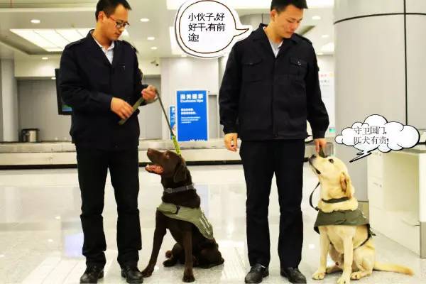 粽子邮寄需要冰冻吗,粽子邮寄怎么保持新鲜