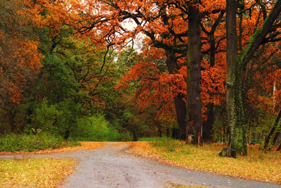进口壁纸品牌排行榜,中国壁纸品牌排行榜前十名