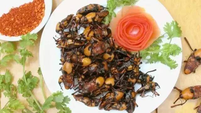 川西竹海清爽一夏,来这个岁月静好的夏日度假地