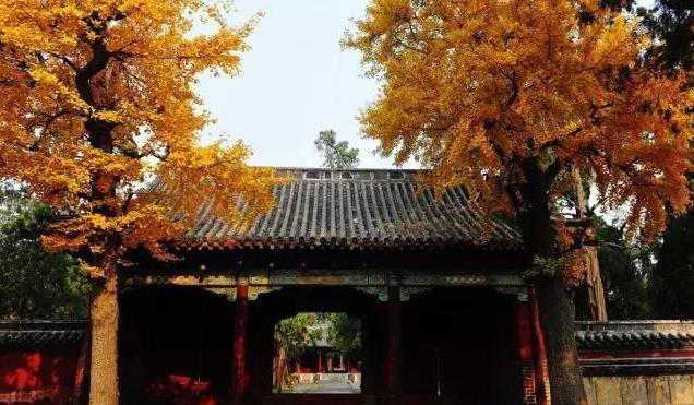 不能更赞：没想到你是这样的邹城