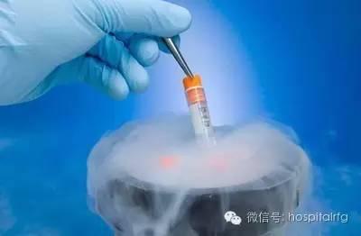 试管婴儿八个卵泡,试管婴儿身体调理书