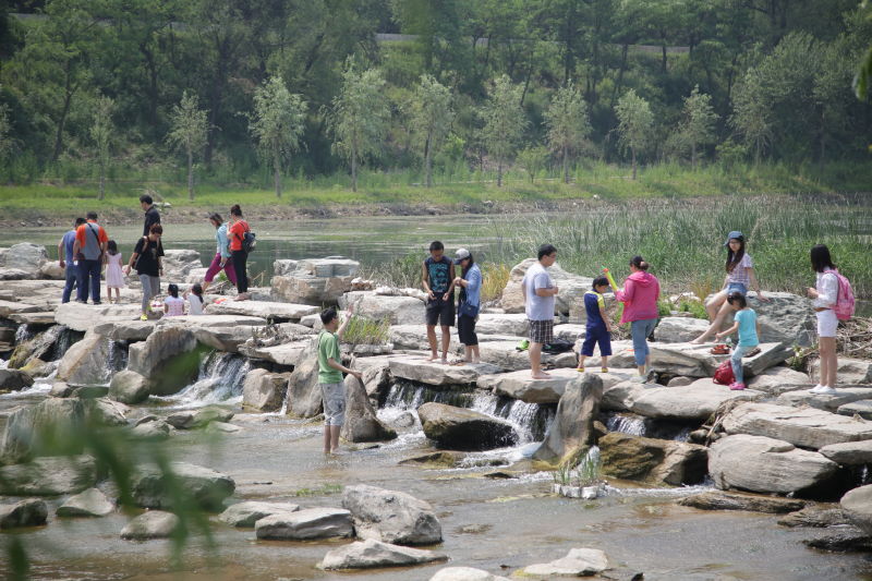 丰茂烤串停止加盟的原因,丰茂烤串创始人