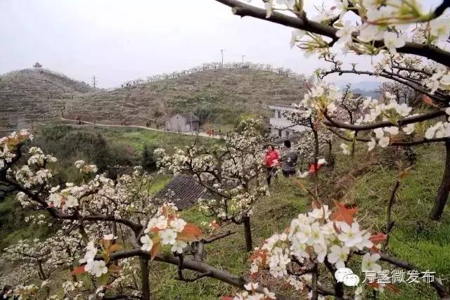 相信我，万盛还有你不知道的一面！