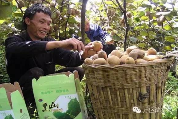 相信我，万盛还有你不知道的一面！