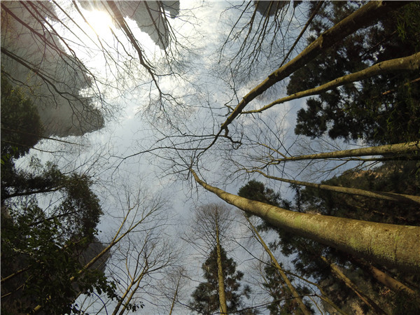 小蚁1代运动相机使用手册,小蚁运动相机实测