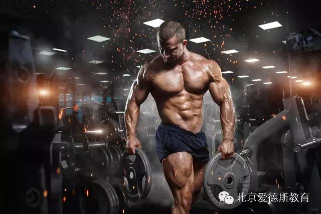 怎样做好一名合格的私人健身教练