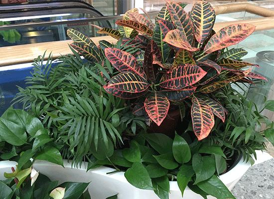 一加性价比最高的千元手机5g,一加x发布价格