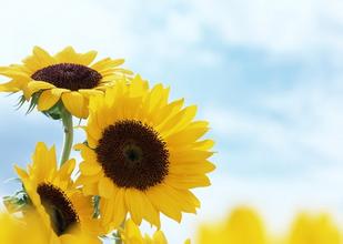 男生英文名字简单好听霸气,男孩的英文名字叫什么好听