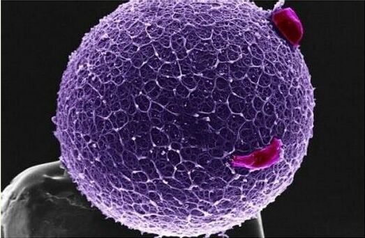 女人排卵的时候会出现哪三种感觉,女人排卵当天什么感觉