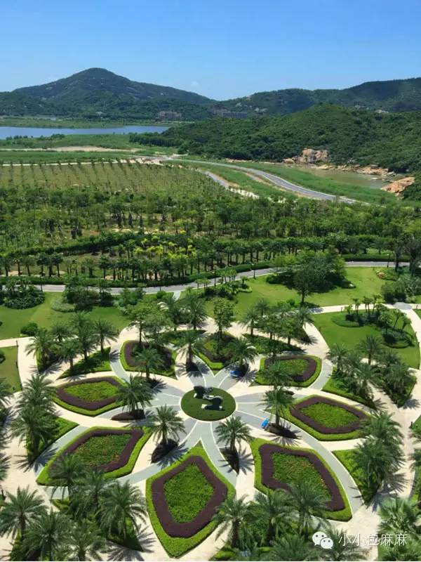 珠海长隆动物园游记,游记长隆动物园