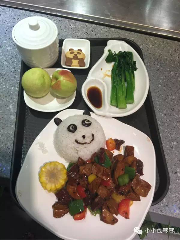 珠海长隆动物园游记,游记长隆动物园