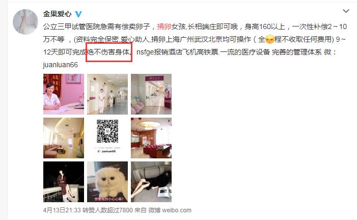 女大学生卖卵20颗赚3.5万最后住院这是违法买卖