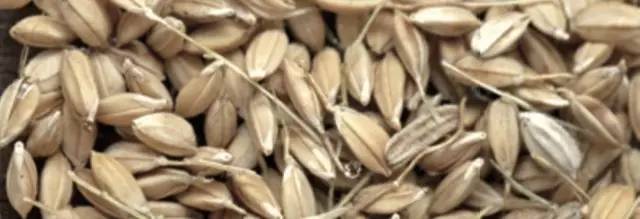 米课｜我打赌，你肯定不会吃米