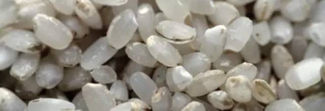 米课｜我打赌，你肯定不会吃米