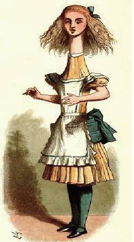 爱丽丝创始人,爱丽丝的笔者是数学家