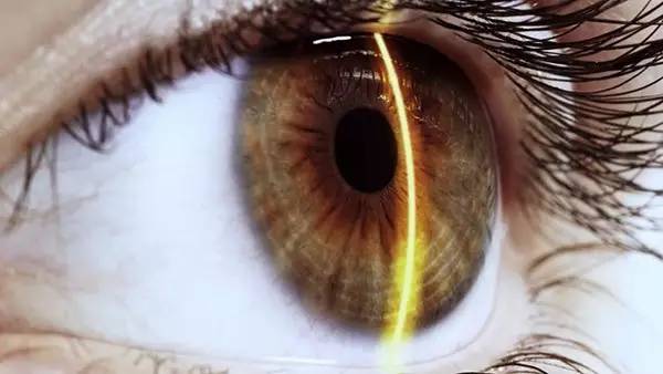 武汉的光谷是个什么地方,武汉最神奇的地方东湖高新